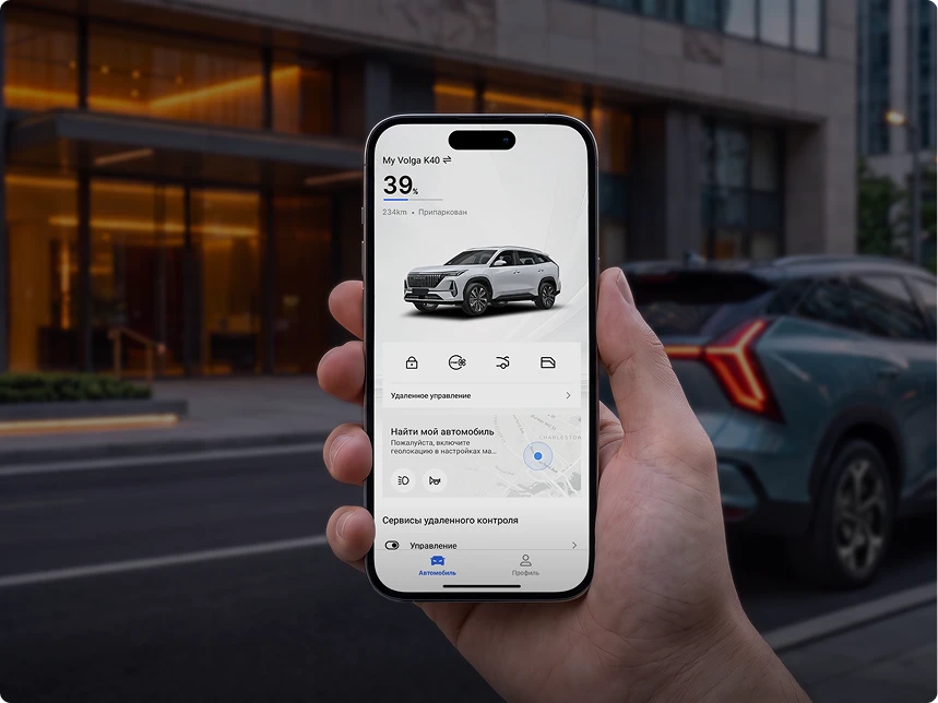 Телематические сервисы